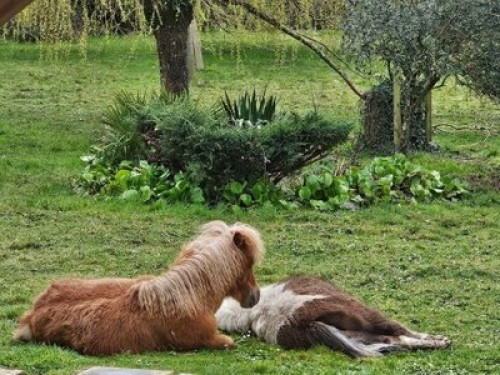 Bienvenue au Domaine des Sources ! - Gallery - 24