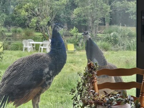 Bienvenue au Domaine des Sources ! - Gallery - 22