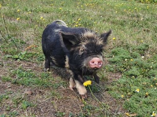 Bienvenue au Domaine des Sources !