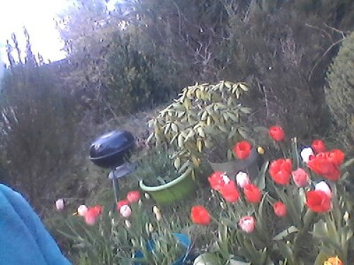          room to let in Spezet 