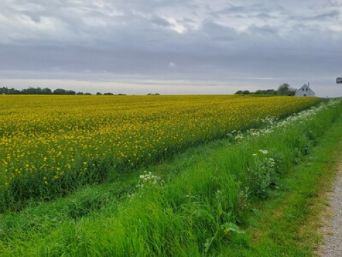 Home Away From Home in Hvidbjerg