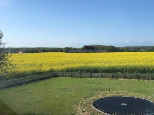 Home Away From Home in Hvidbjerg