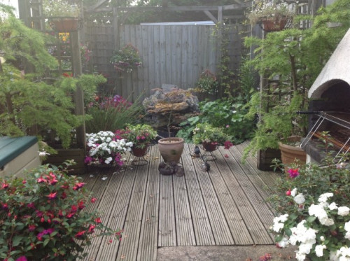Excellent homestay in Cardiff