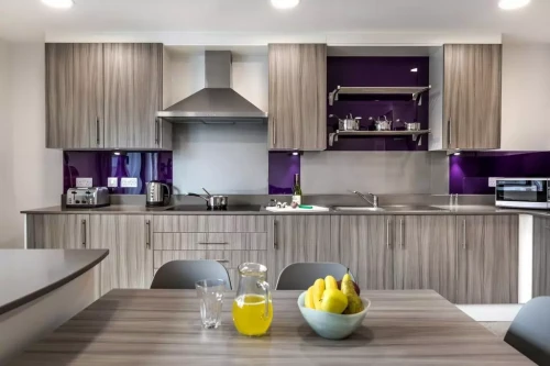 1 bedroom apartment to rent