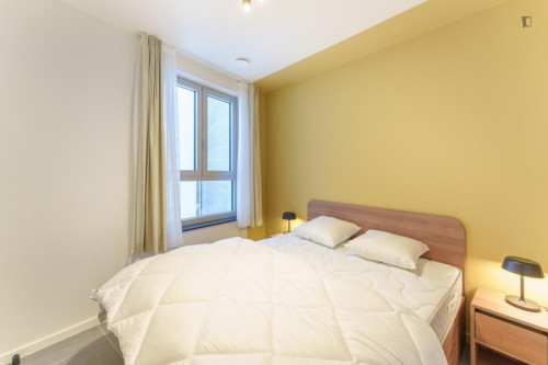 Bright 1 bedroom apartment near Anvers-Central train station