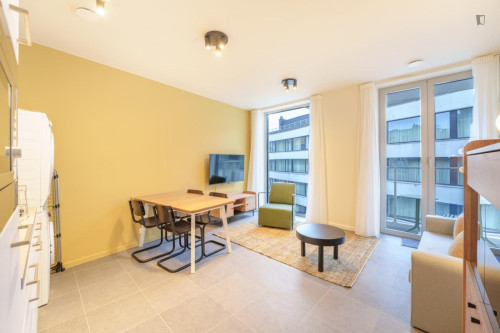 Bright 1 bedroom apartment near Anvers-Central train station
