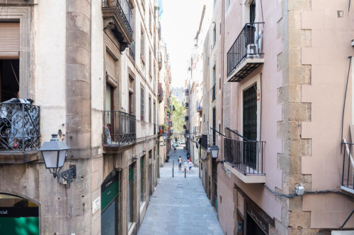 Amazing 2-bedroom apartment, with a terrace, in Ciutat Vella