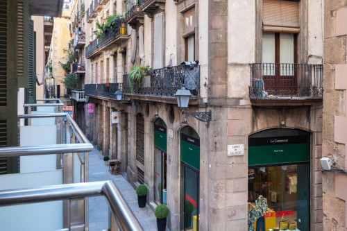 Amazing 2-bedroom apartment, with a terrace, in Ciutat Vella