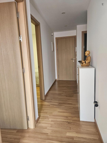 Beautiful 2-bedroom apartment within walking distance to the Universidad de Santiago de Compostela