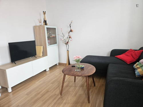 Beautiful 2-bedroom apartment within walking distance to the Universidad de Santiago de Compostela