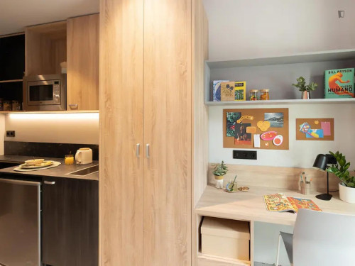 Bed in a comfy studio, in L'Hospitalet de Llobregat