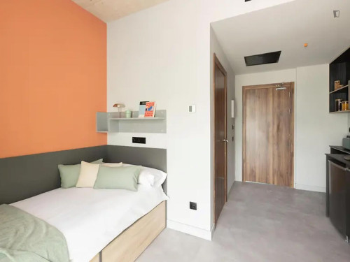 Bed in a comfy studio, in L'Hospitalet de Llobregat