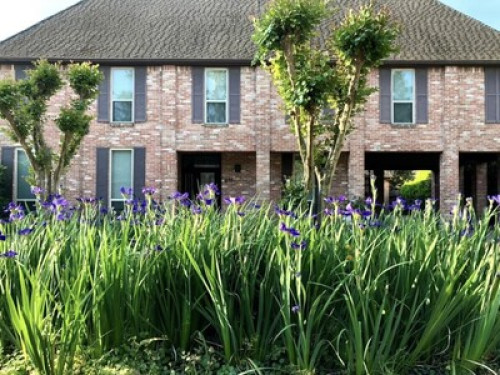 Home Sweet Home - Gallery - 14