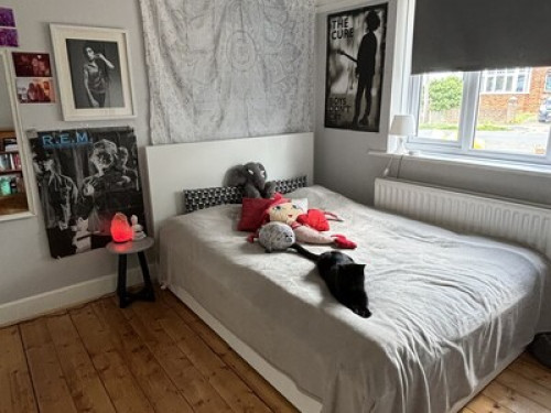 Cozy room available @Hove Actually - Gallery - 7
