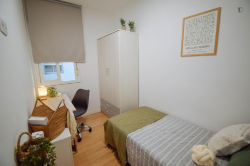 Cozy single bedroom within walking distance to the university
