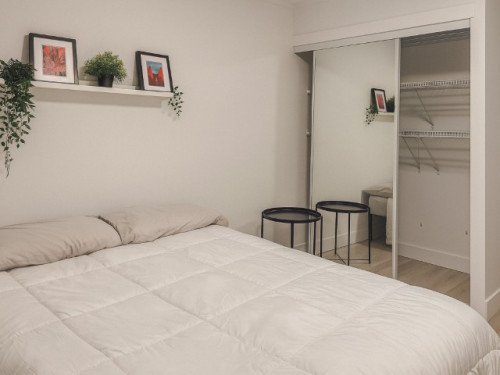 Hello Arce (Basement) / Lynn Valley House