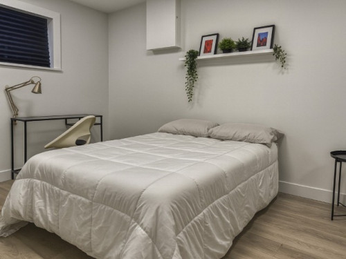 Hello Arce (Basement) / Lynn Valley House