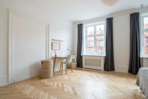 Very nice double bedroom near the Nørrebro St. train station
