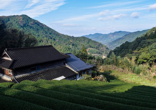 Kurogimachiima Home - Gallery - 23