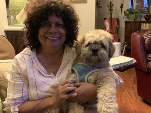 Clean Queen bed near Knott's and Di