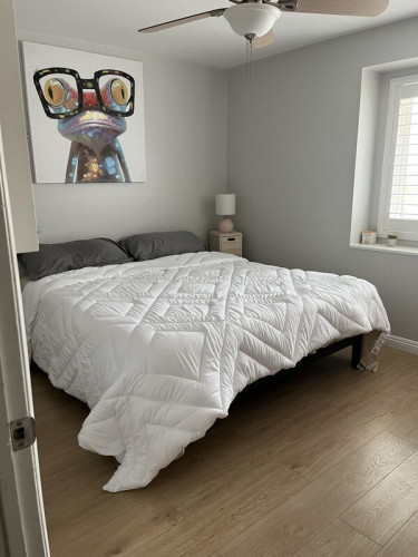Razo-Miller Home - Gallery - 6