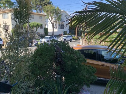 House in Inglewood, master bedroom