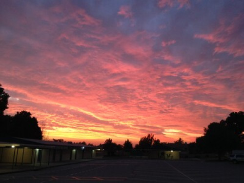 Home Sweet Home or Bed &Breakfast!