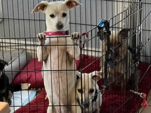 Home Sweet Home or Bed &Breakfast!