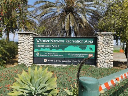 中美文化寄宿家庭