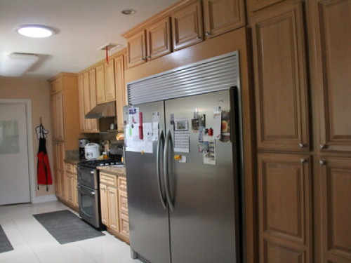 Friendly family in the suburbs