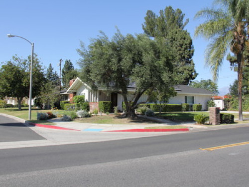 Friendly family in the suburbs