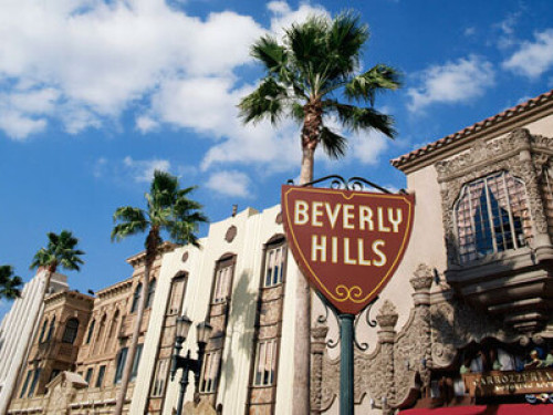 Cozy in Beverly Hills - Gallery - 8