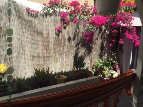 Comfortable private room 