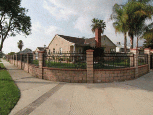 Friendly  &  outgoing in California - Gallery - 7