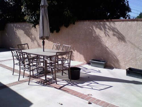 Friendly  &  outgoing in California  - Gallery -  5