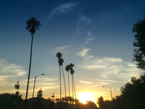 fun, culture, English and travel