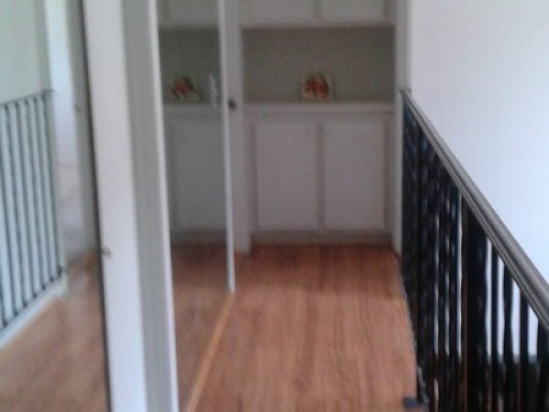 fun, culture, English and travel