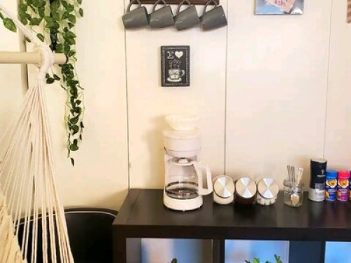 Luxurious  Room with Private Bath