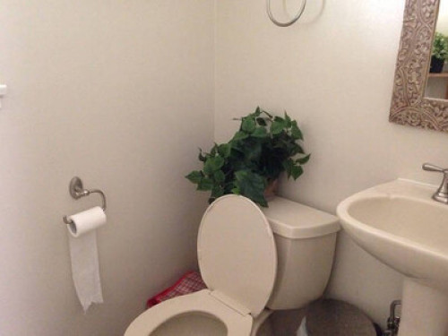 Private room, bathroom, TV & fridge