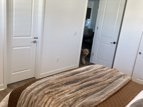 Rooms for rent