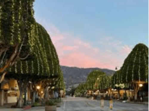 Sweet Room Near Citrus College