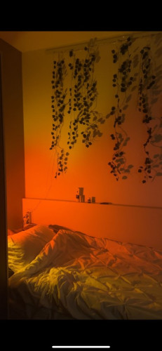 Bright & lovely apartment in Mainz  - Gallery -  4