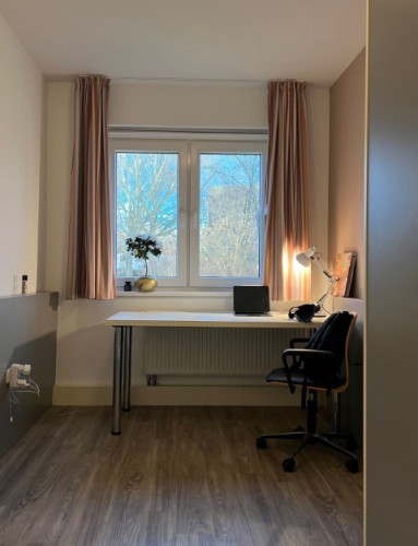 Bright & lovely apartment in Mainz  - Gallery -  2