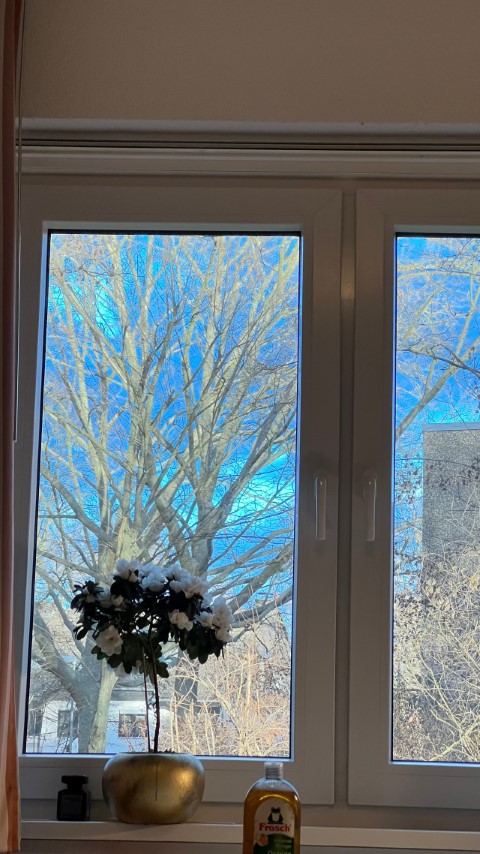  Bright & Lovely Apartment In Mainz  -  Bright & lovely apartment in Mainz  - Gallery -  5