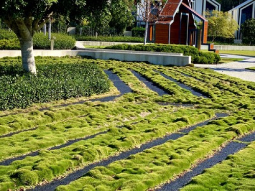 Relaxed Family that loves outings!