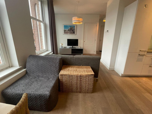 Welcoming 1-bedroom apartment in the centre of Haarlem