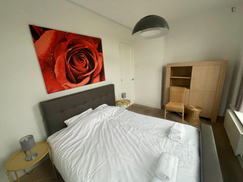 Welcoming 1-bedroom apartment in the centre of Haarlem