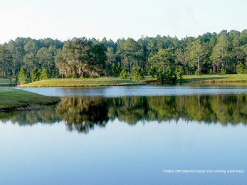 THE BEAUTIFUL NEST - Gallery - 12