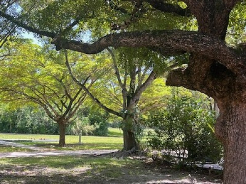 Peaceful area in Miami