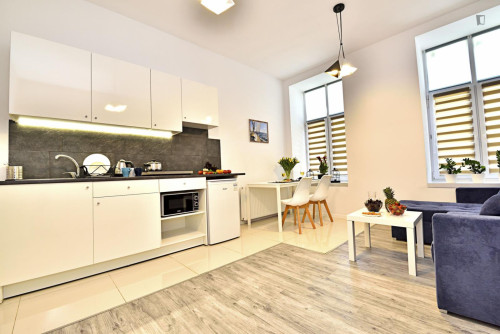 Comfortable studio in Old Polesie